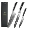 Elite Style – 3 Knives Set (B) – 67-layer VG10 Damascus (Sunnecko Elite-A Series)