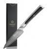 Elite Style 3.5″ Paring Knife – 67-layer VG10 Damascus (Sunnecko Elite-A Series)